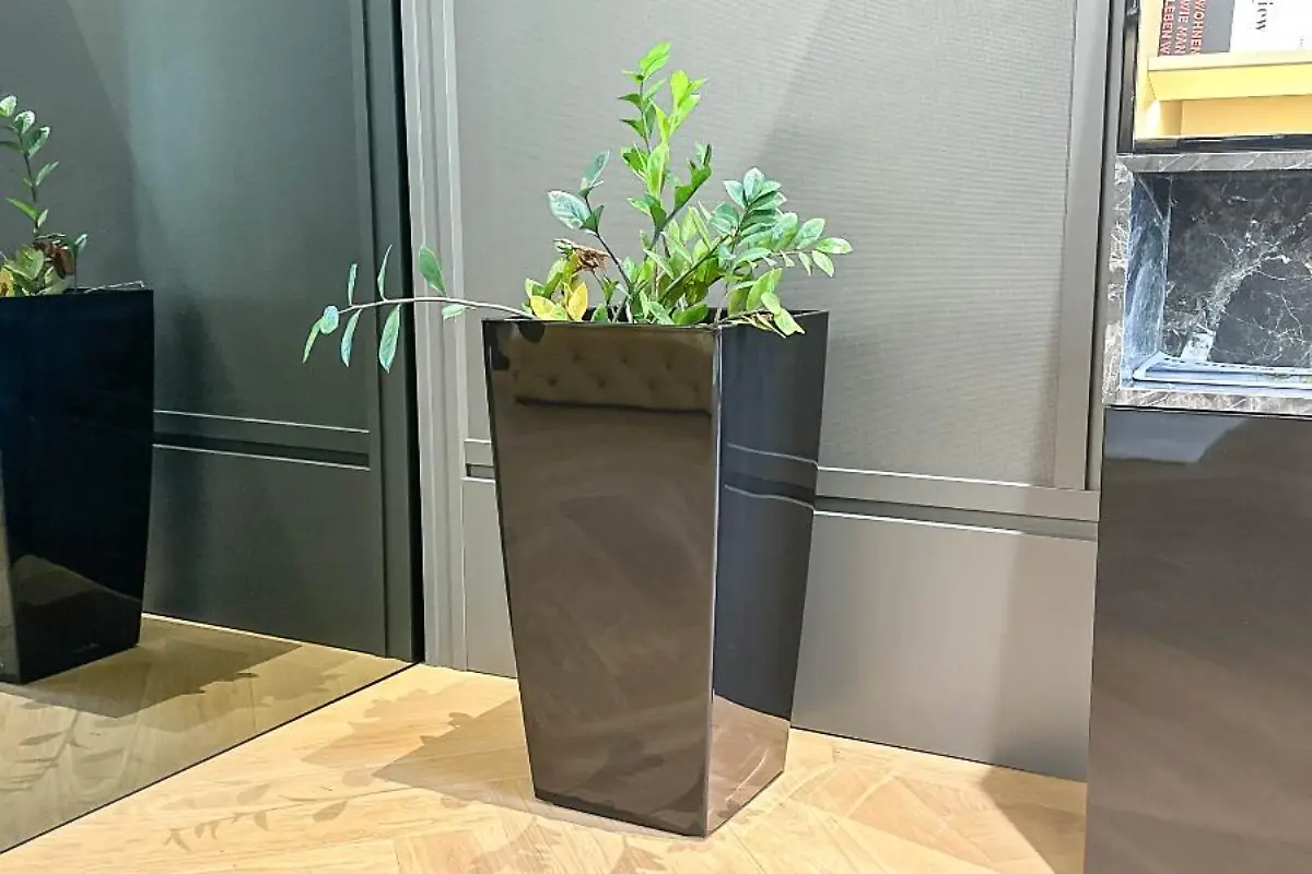 Zimmerpflanze-mit-Topf-l