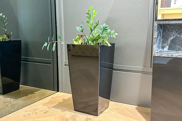 Zimmerpflanze-mit-Topf-l