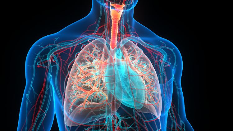 Trotz engmaschiger medizinischer Betreuung der Sportler wird nicht jede Herzmuskelentzündung aufgespürt.