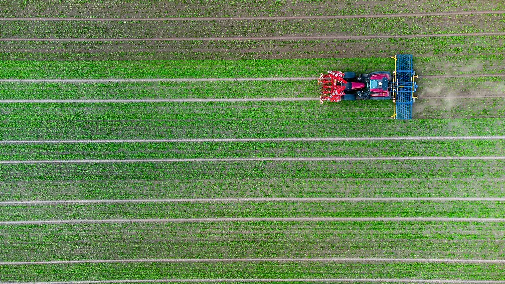 Ein-Landwirt-faehrt-mit-seinem-Trecker-ueber-ein-Feld