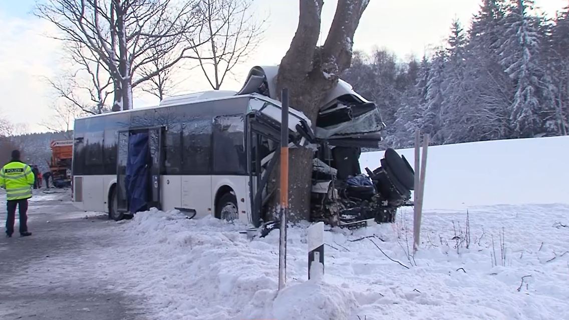 schulbus.JPG