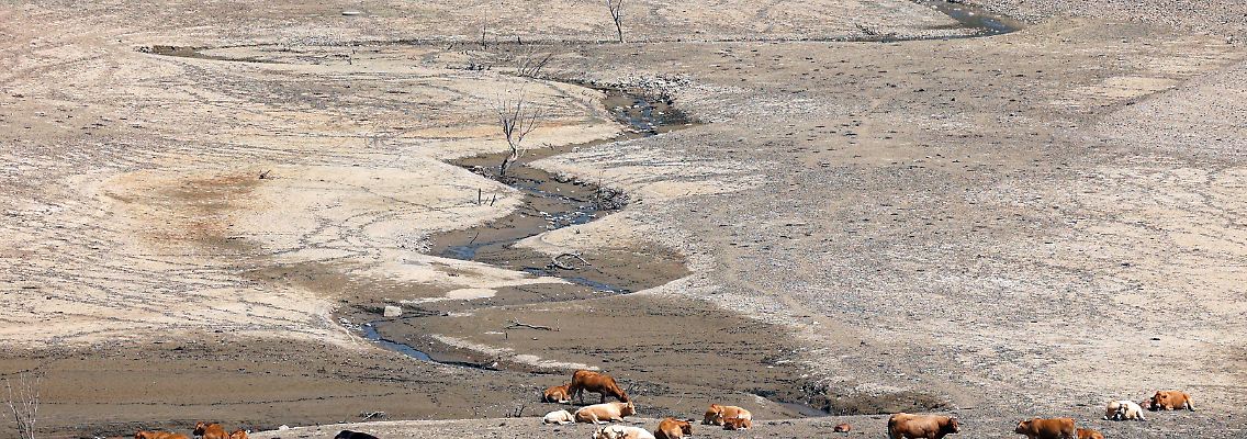 Ein ausgetrockneter Stausee in Spanien. 2015 hatte die Weltgemeinschaft im Pariser Klimaabkommen vereinbart, die Erderwärmung auf deutlich unter zwei Grad, möglichst aber auf 1,5 Grad im Vergleich zum vorindustriellen Zeitalter zu begrenzen.