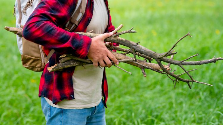 Auch das Naturschutzgesetz setzt Grenzen für die Mitnahme von Bastelmaterialien aus dem Wald.