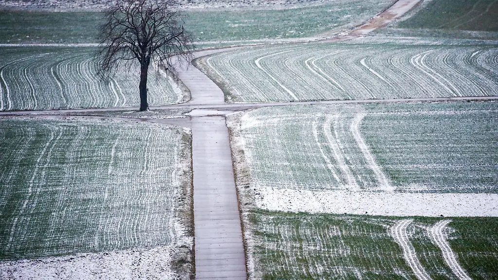 Schnee-liegt-am-Morgen-auf-den-Feldern-in-Oberschwaben