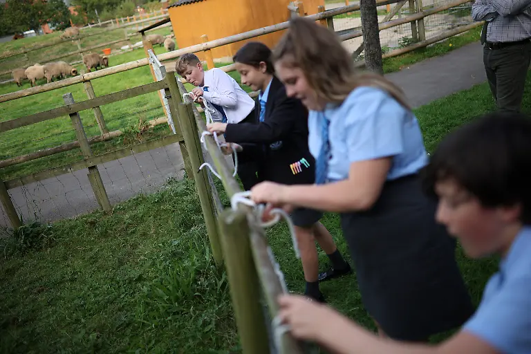 2023-12-21T081050Z-750424723-RC2433AF5ACV-RTRMADP-3-BRITAIN-EDUCATION-FARM