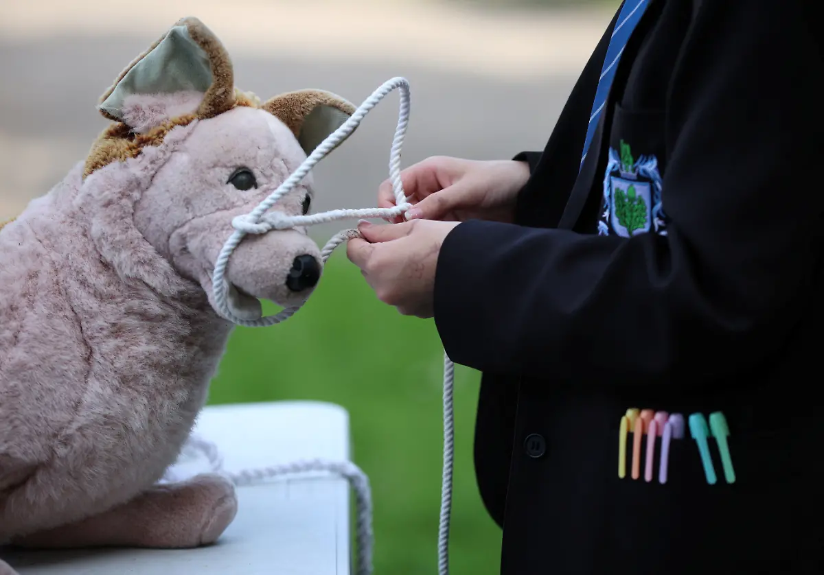 2023-12-21T081107Z-1432837833-RC2233AS2PQI-RTRMADP-3-BRITAIN-EDUCATION-FARM