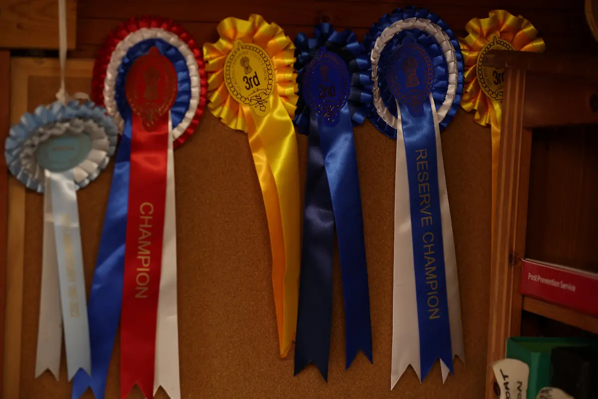 2023-12-21T081046Z-1959573326-RC2233A2TSMH-RTRMADP-3-BRITAIN-EDUCATION-FARM