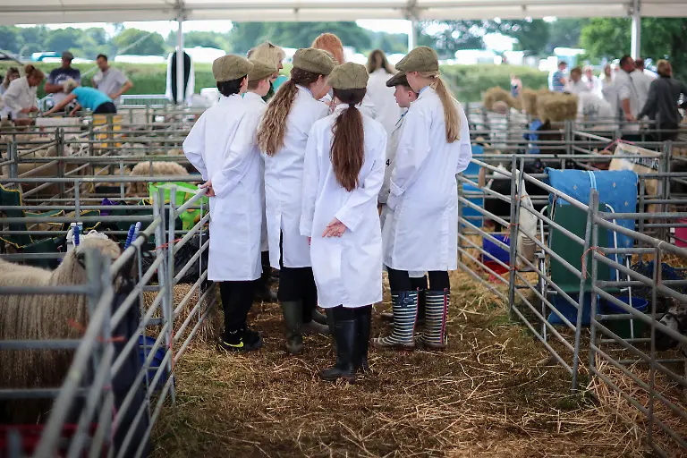 2023-12-21T081112Z-1723509378-RC2KN1A49DZ1-RTRMADP-3-BRITAIN-EDUCATION-FARM