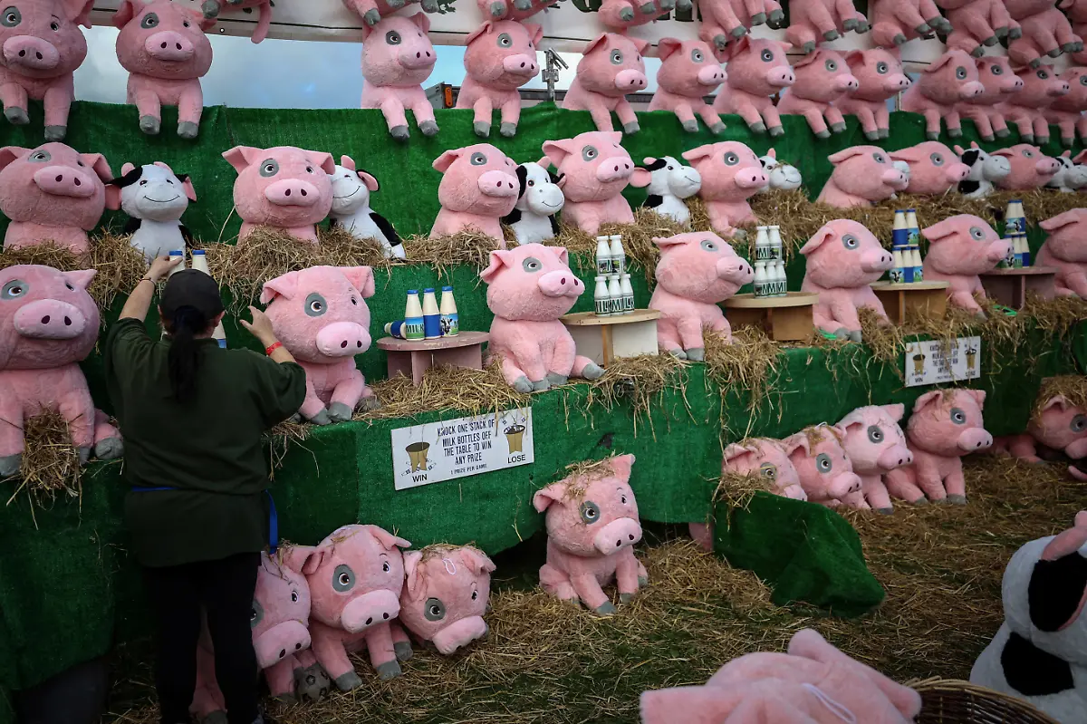 2023-12-21T081111Z-266780709-RC2B83AFNQIF-RTRMADP-3-BRITAIN-EDUCATION-FARM