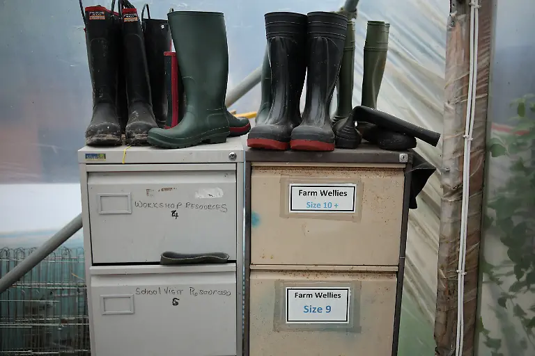 2023-12-21T081104Z-1499944639-RC2E63ARS29G-RTRMADP-3-BRITAIN-EDUCATION-FARM