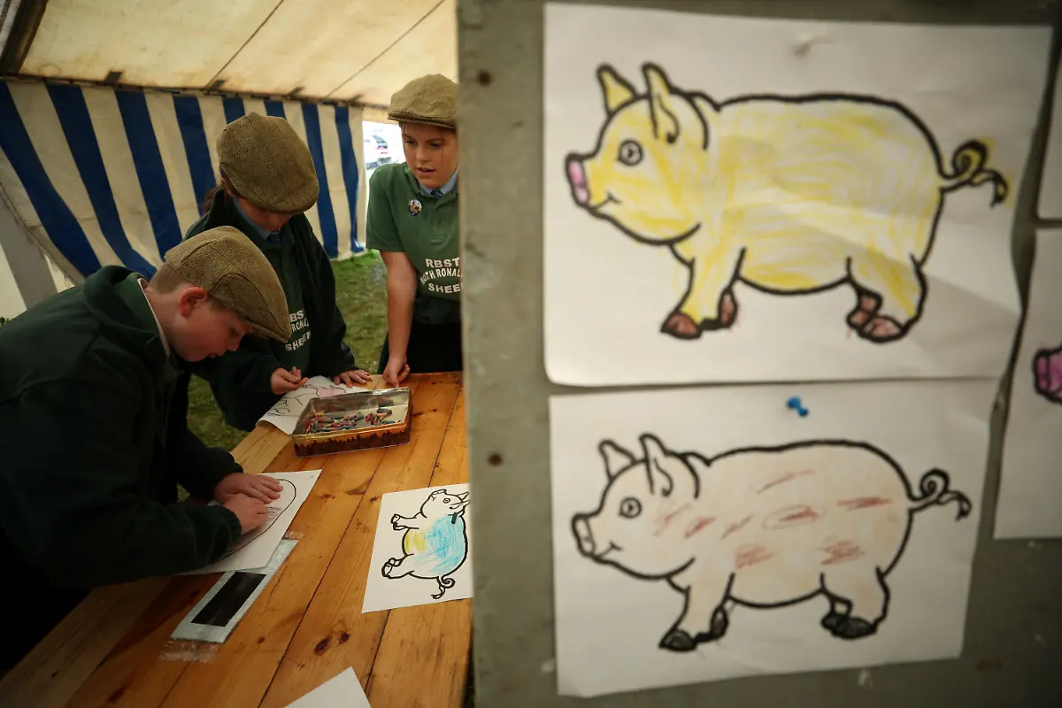 2023-12-21T081106Z-1230319038-RC2A83AYQ31V-RTRMADP-3-BRITAIN-EDUCATION-FARM