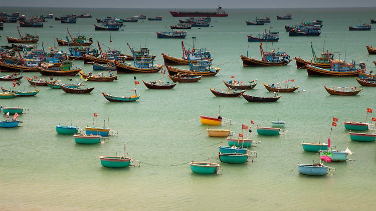 Hafen mit vielen Fischerbooten in Vietnam: Millionen Fischer sind auf Korallenriffe angewiesen.