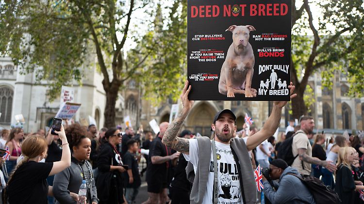 Hunderte protestieren im Oktober in London gegen den Vorschlag des Premierministers Rishi Sunak zum Verbot von XL Bullys.
