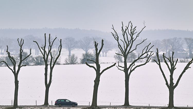 Am Nachmittag kommen Regen und Schnee im Osten an - und mit ihnen die Glatteisgefahr.