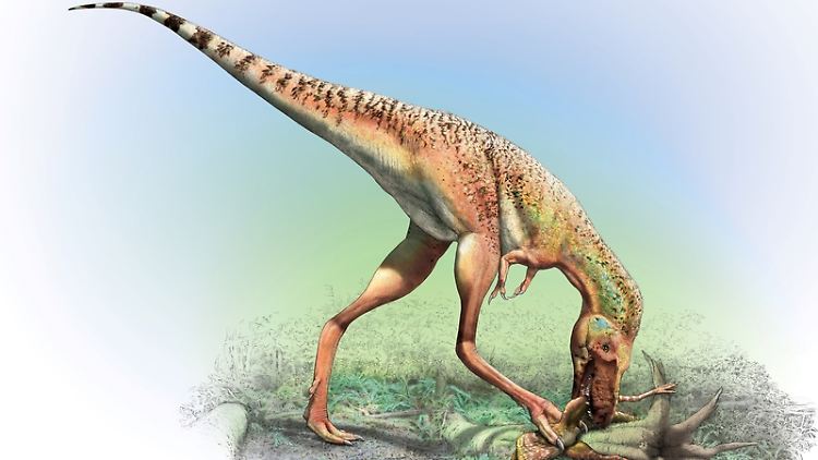Gorgosaurus beim Zerteilen der Beute.