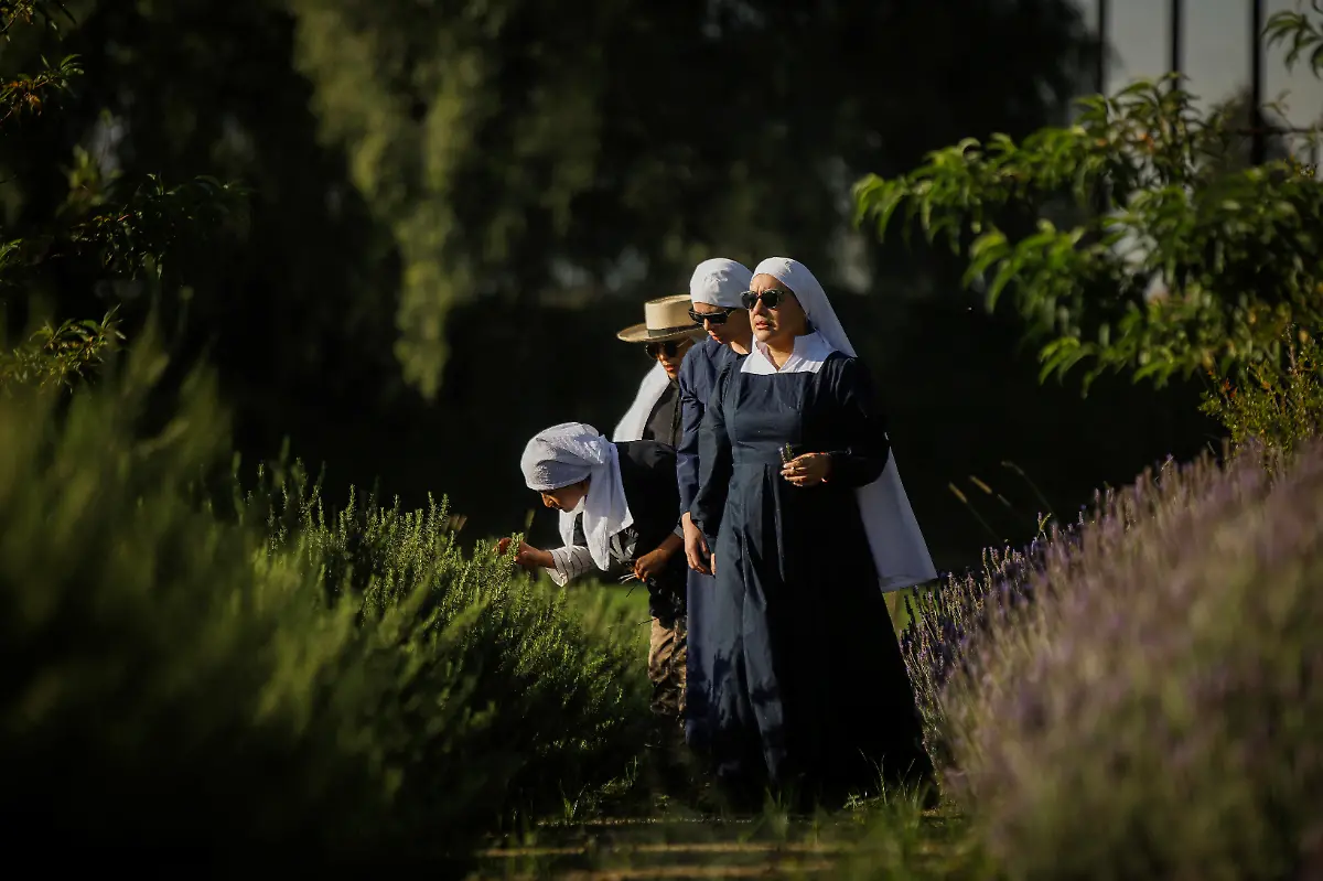 2023-12-27T110347Z-1712998108-RC2Y03AXFL3M-RTRMADP-3-MEXICO-DRUGS-NUNS