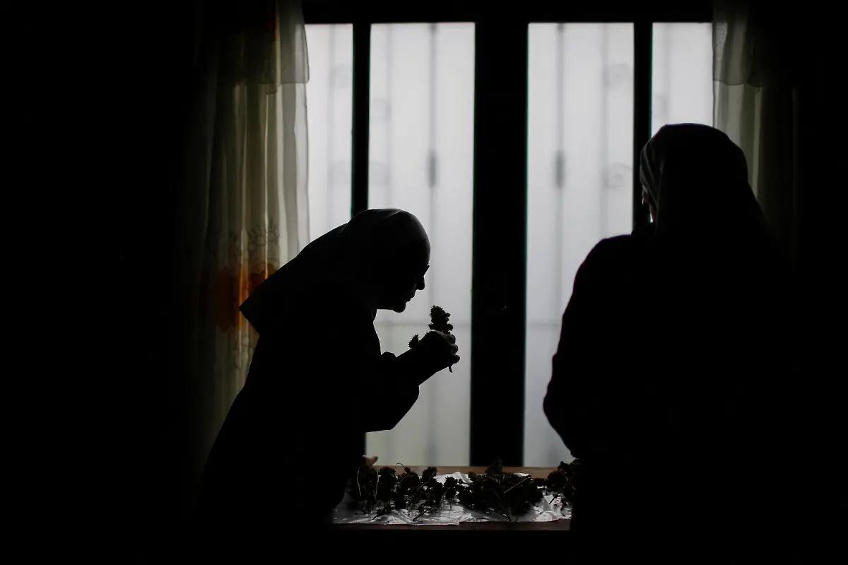 2023-12-27T110317Z-441286011-RC2J03AK0CH1-RTRMADP-3-MEXICO-DRUGS-NUNS