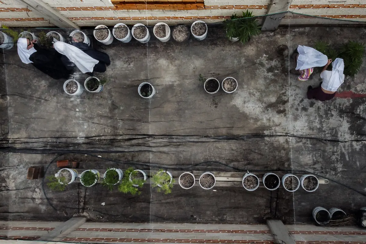 2023-12-27T110431Z-197855314-RC2F03AXQ75U-RTRMADP-3-MEXICO-DRUGS-NUNS