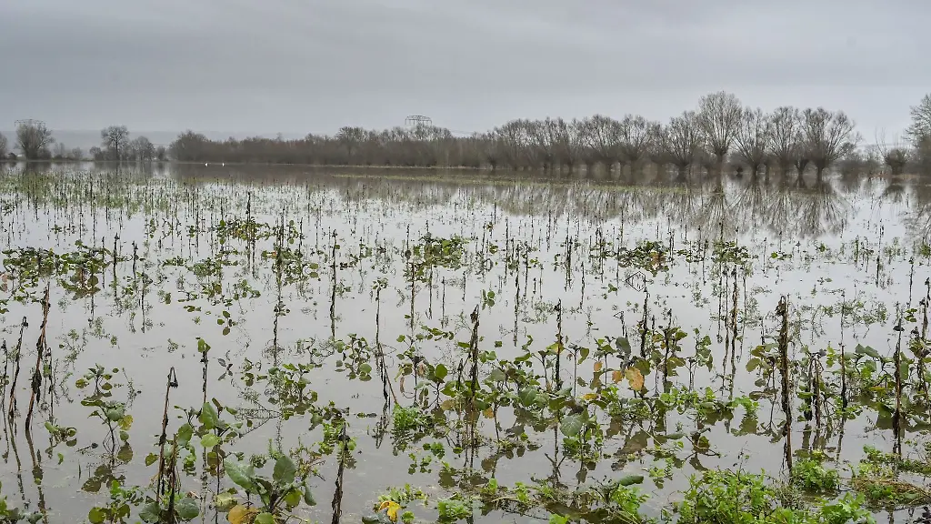 Ein-ueberschwemmtes-Feld-zwischen-Nieder-und-Oberroeblingen