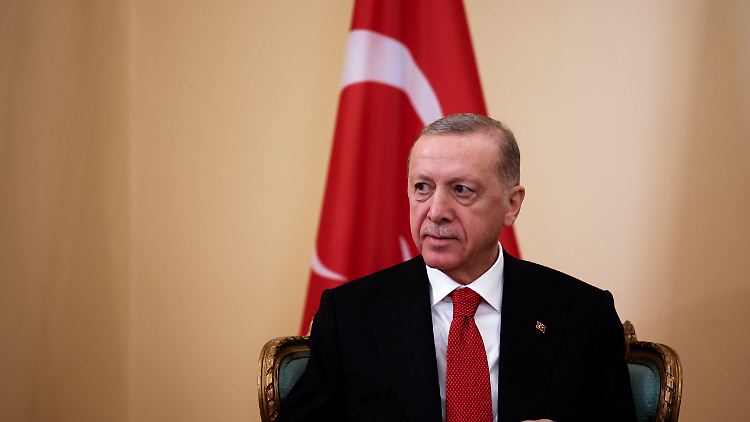 Der türkische Präsident Erdogan machte die Ratifizierung des schwedischen Beitritts zuletzt von einer US-Lieferung von F-16-Kampfjets abhängig.