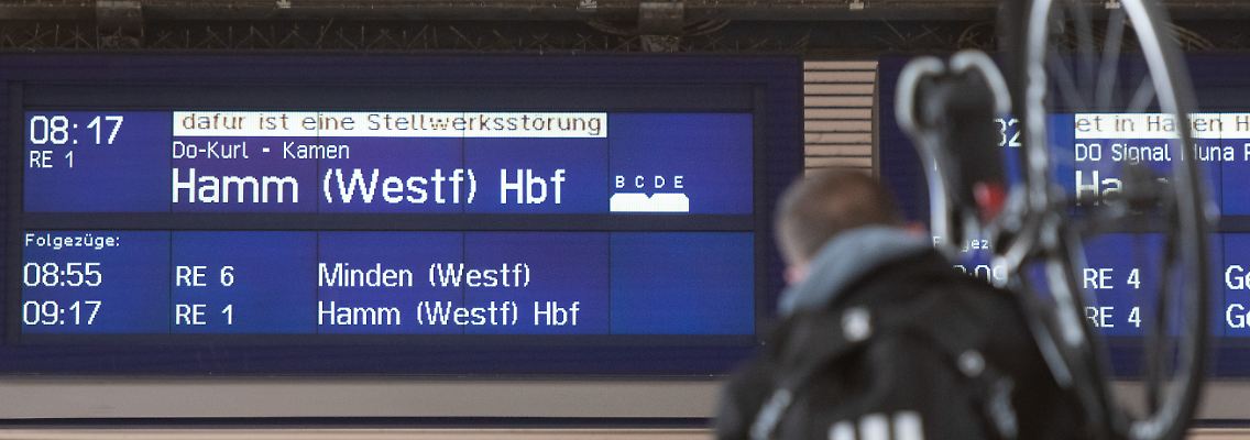 254572787.jpg