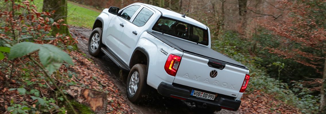 Volkswagen_Amarok_Basis_HI.jpg
