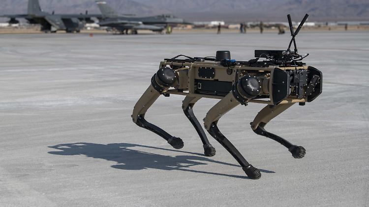 Für Ghost Robotics arbeiten 75 Angestellte, das Unternehmen hat bisher mehrere Millionen Dollar eingesammelt hat.