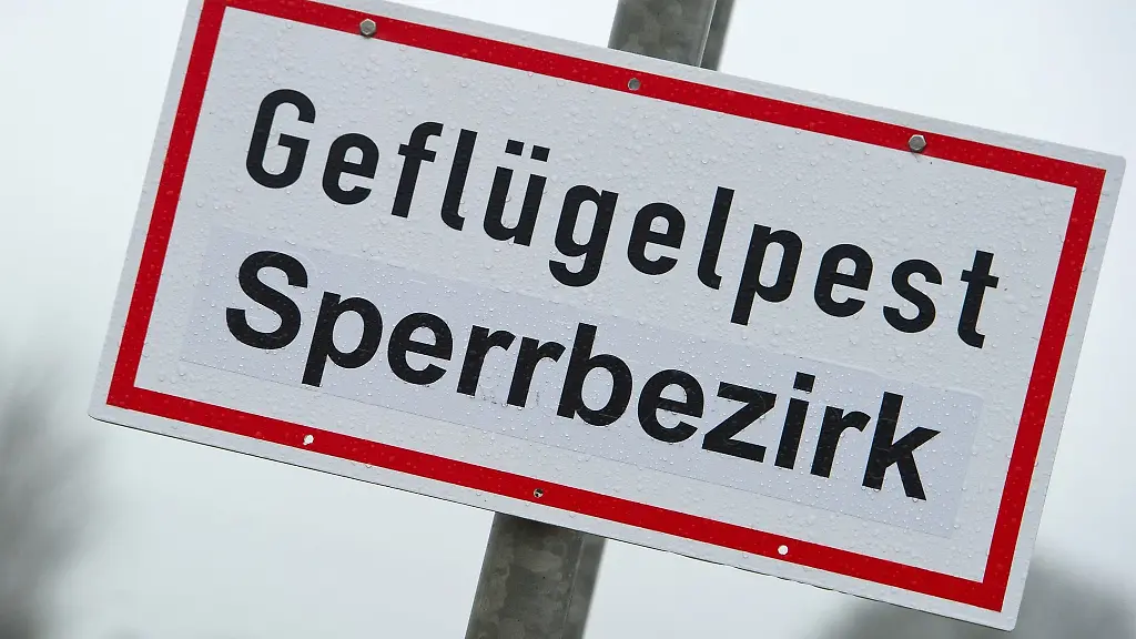 Ein-Schild-mit-der-Aufschrift-Gefluegelpest-Sperrbezirk