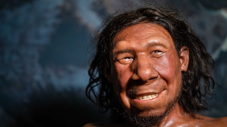 Die Rekonstruktion des ersten Neandertalers der Niederlande mit dem Spitznamen Krijn ist im Nationalmuseum für Antiquitäten zu sehen.