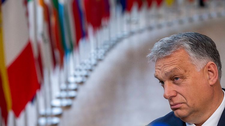 Will EU-Gelder für sein Land herausschlagen: Viktor Orban.