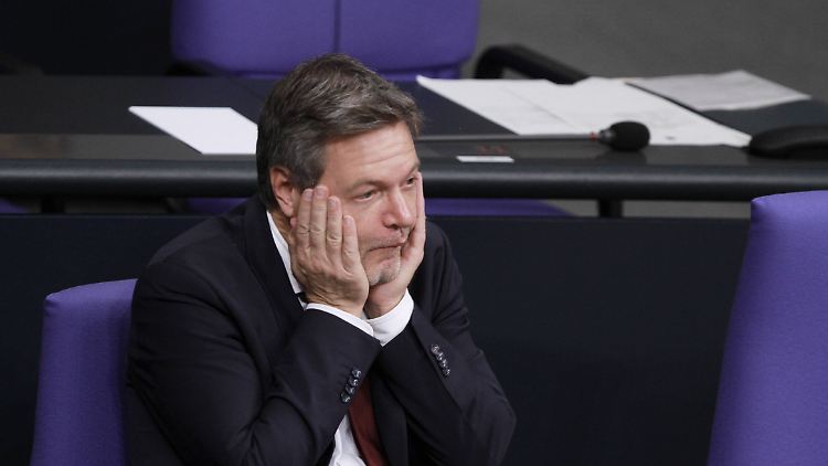 Sagt, dass die Haushaltslösung Deutschland viel abverlange: Robert Habeck.