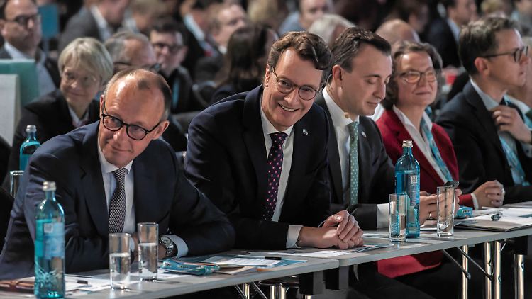 Merz und seine wilde Horde