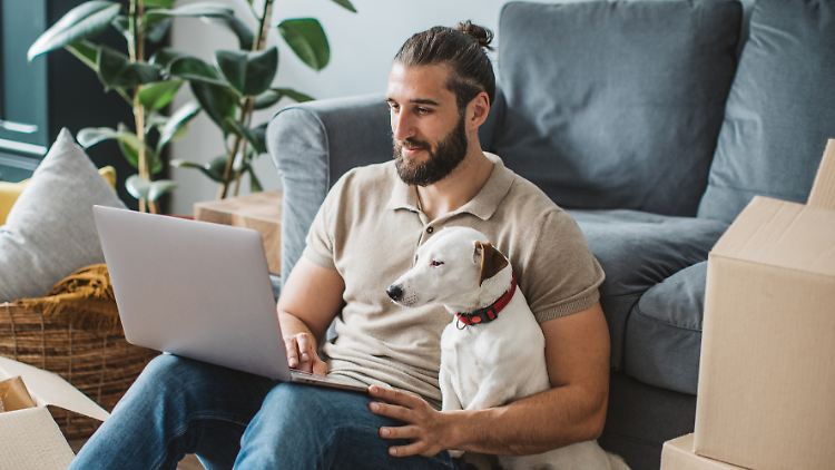 Bei Vodafone gibt es zum schnellen Internet-Anschluss Kabelfernsehen gratis dazu.