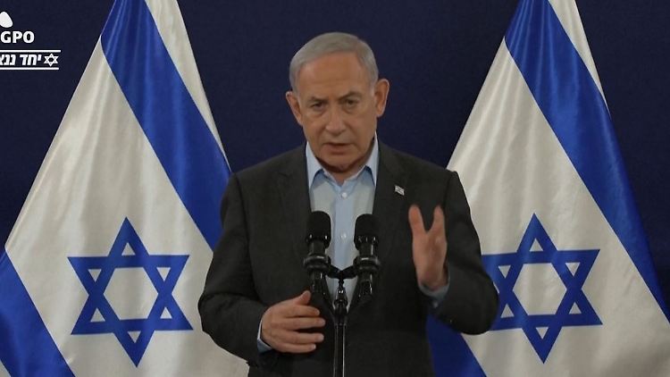 Bibi.JPG