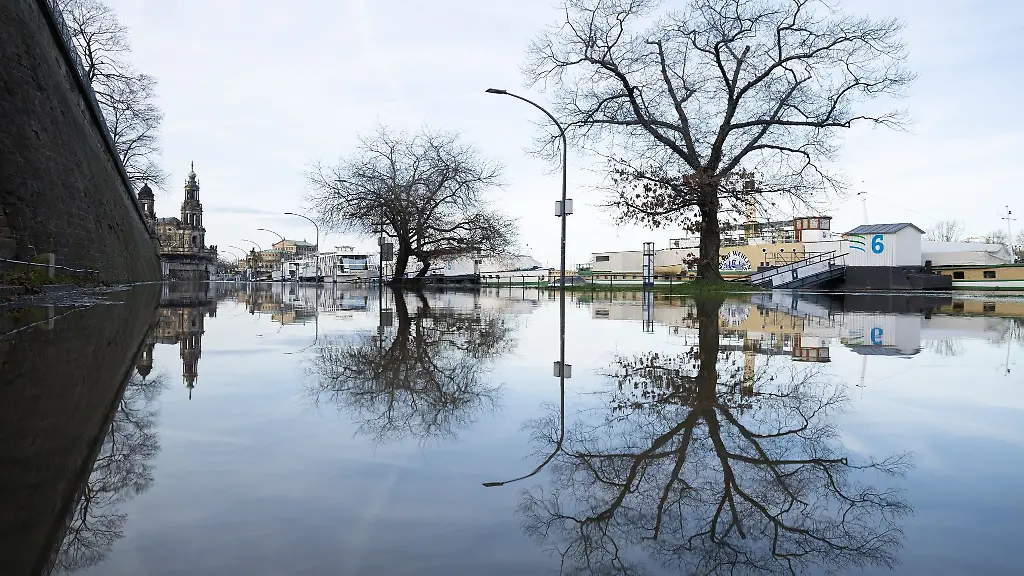 Baeume-spiegeln-sich-am-Terrassenufer-im-Hochwasser-der-Elbe