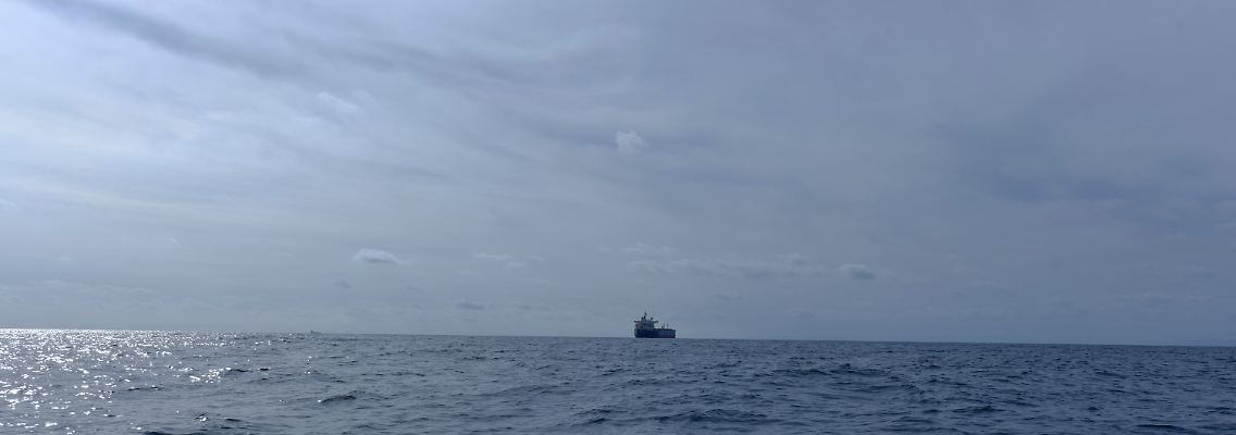 AP23087558512217.jpg