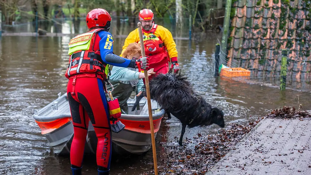 Mitarbeiter-der-DLRG-retten-in-der-Wedemark-Heidschnucken