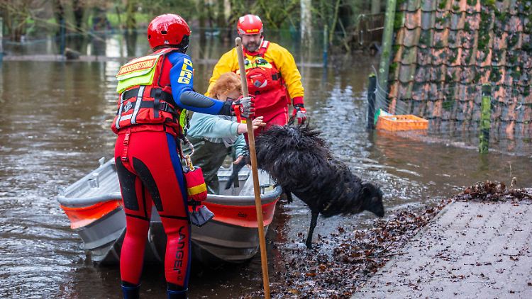 Die Einsatzkräfte brachten die Tiere einzeln mit Booten in Sicherheit.
