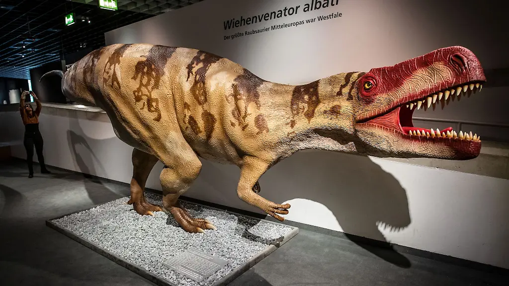 Die-lebensechte-Rekonstruktion-eines-Raubsauriers-wird-im-LWL-Museum-fuer-Naturkunde-praesentiert