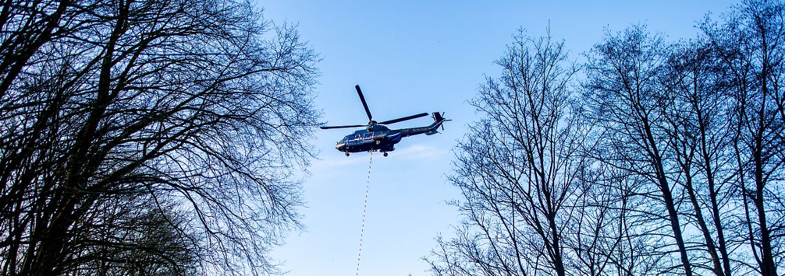 440198242.jpg