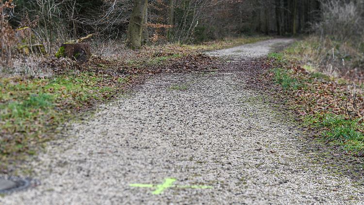 Auf diesem Waldweg fand die Polizei die leblose 15-Jährige.