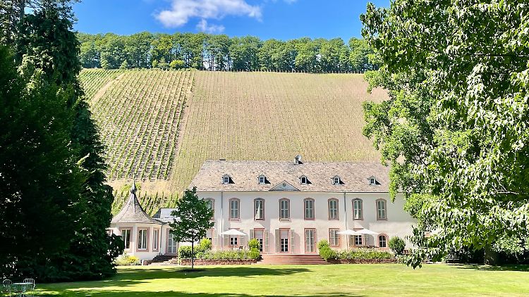Das renommierte Weingut von Othegraven hat gut 12 Hektar und gehört seit 2010 Günter Jauch.