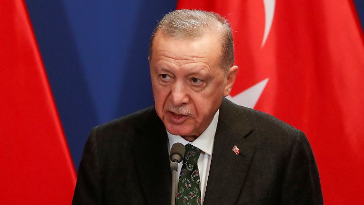 Bei der Durchfahrt von Kriegsschiffen durch das Gebiet der Türkei hat Präsident Erdogan das letzte Wort. 