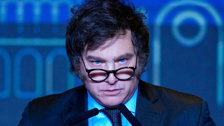 Der argentinische Präsident Javier Milei - ein Verrückter? Oder ein Mann mit Plan?