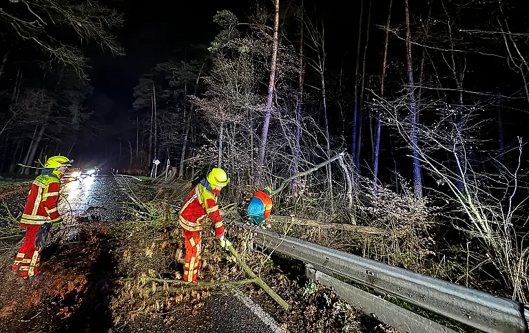 81ea61d55a1943d550fc82af2913ecad