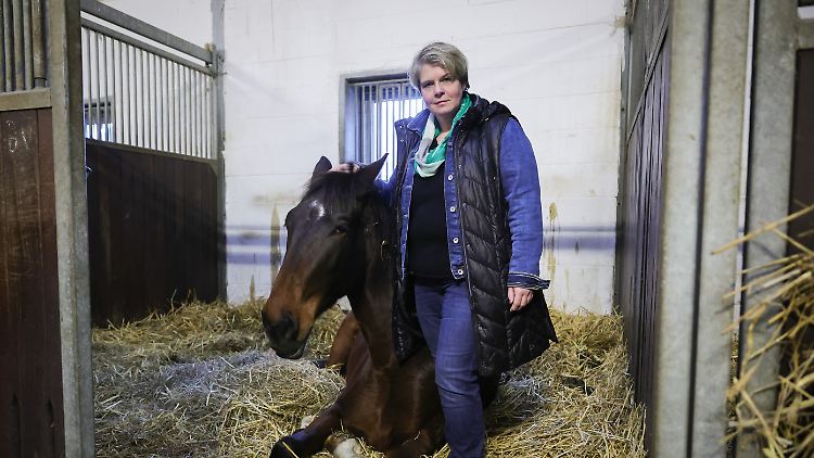Wegen des Hochwassers hat Landwirtin Nadine Wilkens einige ihrer Pferde vorsichtshalber woanders untergebracht.