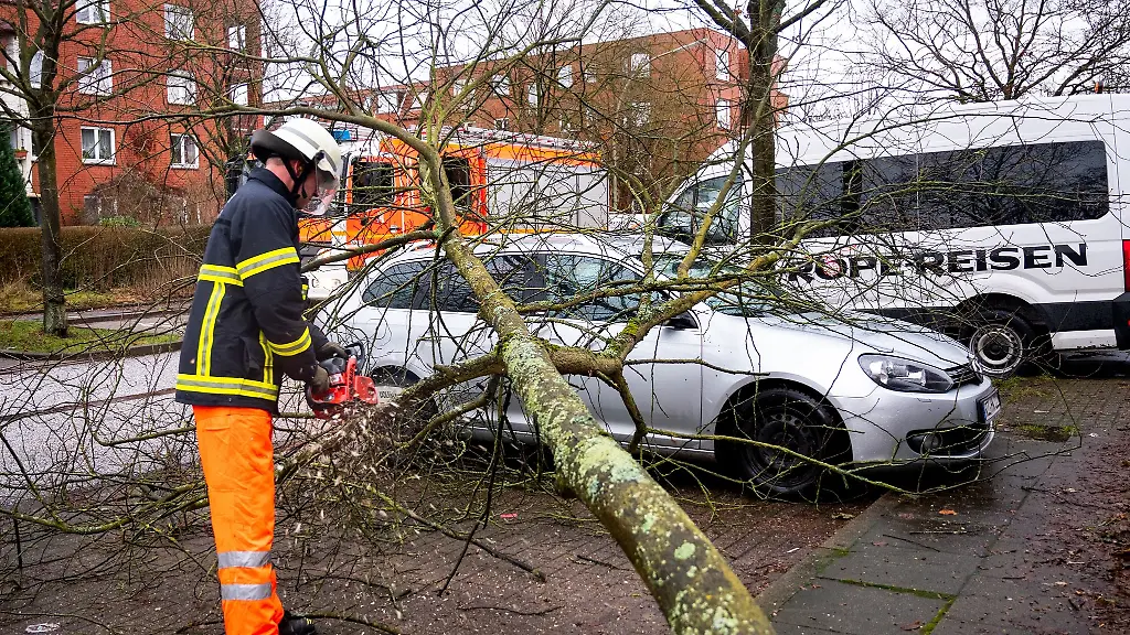 Ein-Feuerwehrmann-zersaegt-im-Stadtteil-Neuallermoehe-einen-Baum-der-bei-einem-Sturm-auf-ein-Auto-gefallen-ist