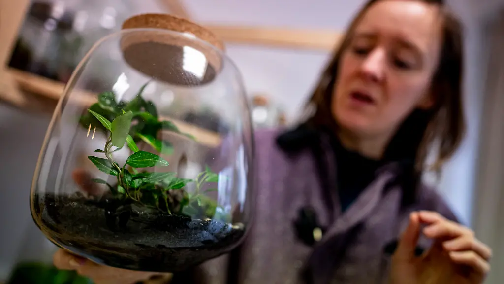 b91cc1374f47c05d90956a090aa3ac6e