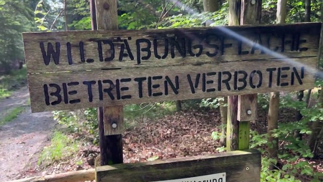 wald.PNG