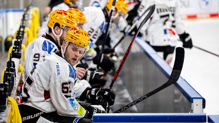 Die Fischtown Pinguins mischen die DEL weiter auf.